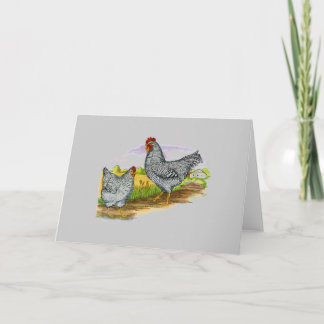 Vintage Style Chickens Greeting Card