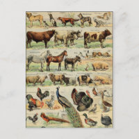 Vintage Style Farm Animals