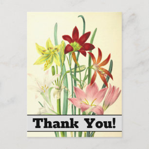 Vintage Style Flowers "Thank You!" Postcard