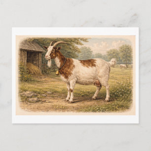 Vintage-Style Goat lllustration Postcard