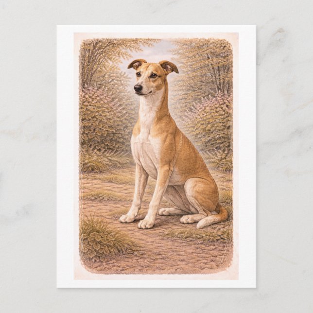 Vintage-Style Greyhound Postcard (Front)