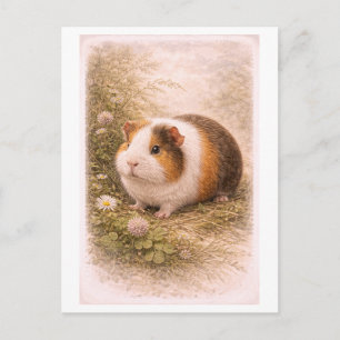 Vintage-Style Guinea Pig Illustration Postcard