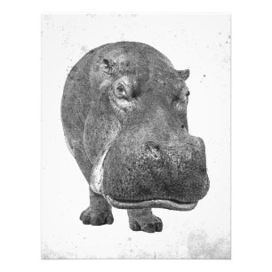 Vintage Style Hippopotamus Poster/Print! Photo Print