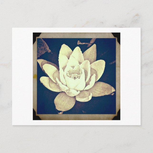 VINTAGE STYLE LOTUS "PHOTOGRAPH" POSTCARD (Front)