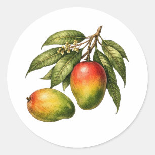 Vintage Style Mango Fruit Branch  Classic Round Sticker