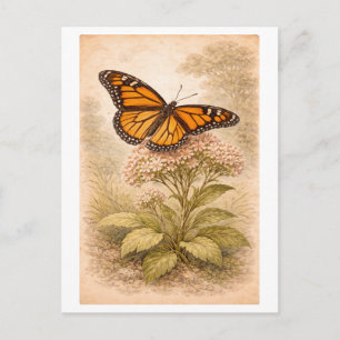 Vintage-Style Monarch Butterfly Illustration Postcard