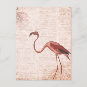 Vintage Style Pink Flamingo Postcard