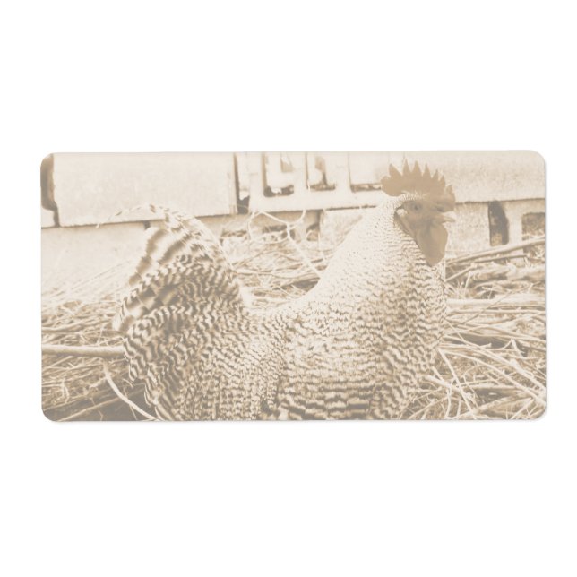 Vintage Style Rooster Photograph (Front)