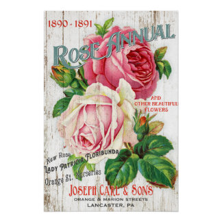 Vintage Style Rose Seed Catalogue Poster