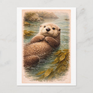 Vintage-Style Sea Otter Illustration Postcard