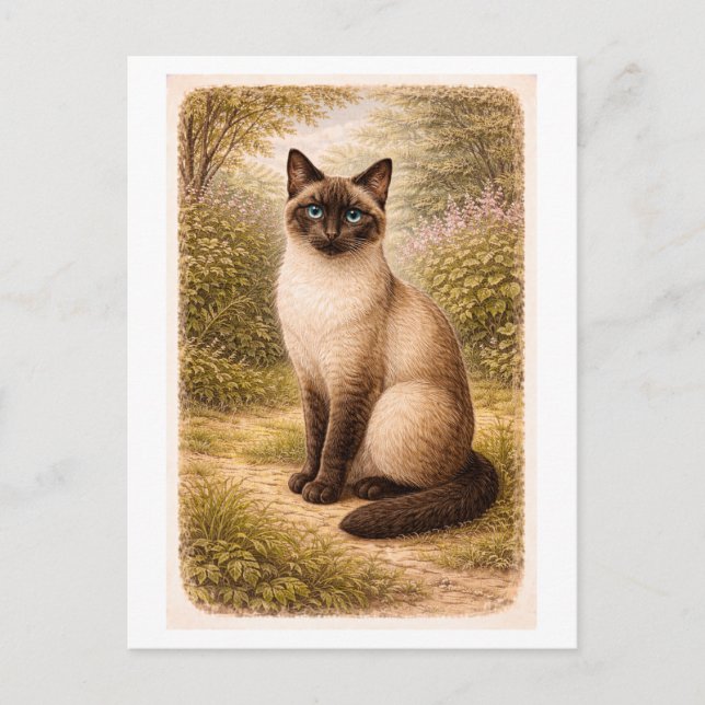 Vintage-Style Siamese Cat Illustration Postcard (Front)