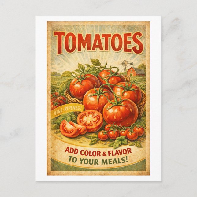 Vintage-Style Tomato Advertisement Postcard (Front)