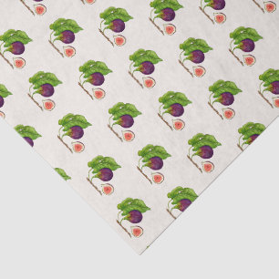 Vintage style watercolor Figs on ecru Tissue Paper