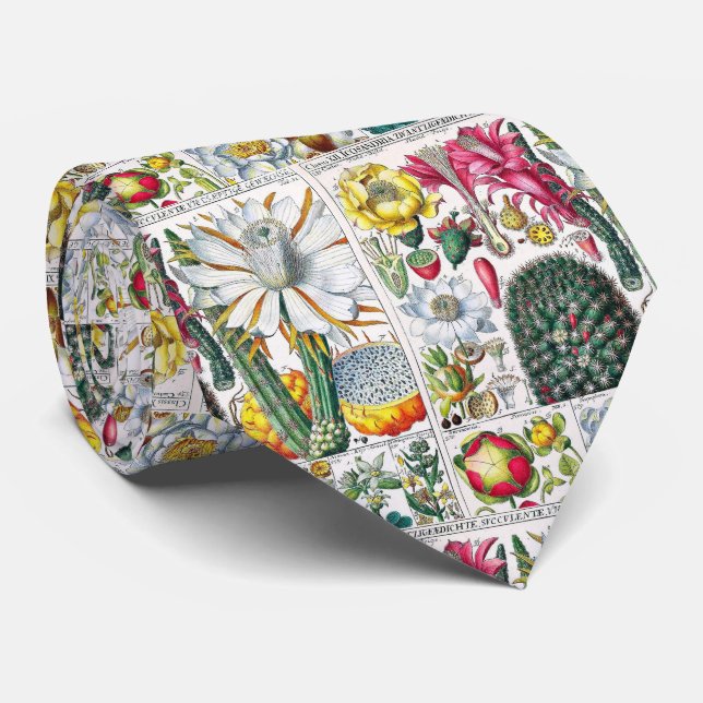 Vintage Stylised Cactus Botanical Book Plate #32 Tie (Rolled)