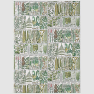 Vintage Stylised Ferns Botanical Book Plate #60 Tissue Paper