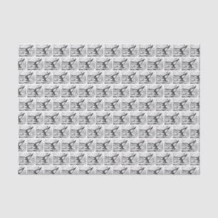 Vintage Stylised Whale Tail Drawing Black Tissue Paper