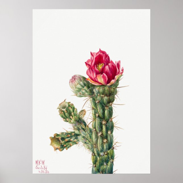 Vintage Succulent Illustration Poster (Front)