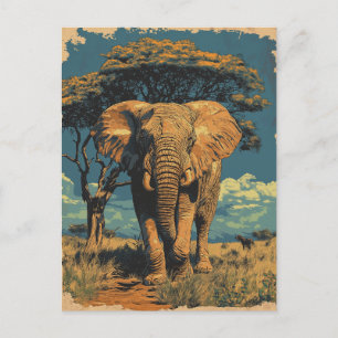 Vintage Südafrika Elefant In Der Savanne Postcard