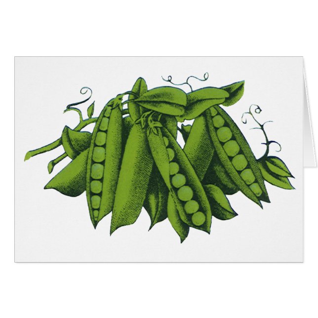 Vintage Sugar Snap Peas, Foods, Healthy Vegetables (Front Horizontal)