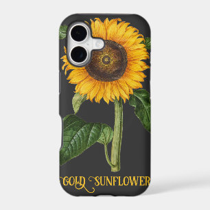 Vintage Sunflower Botanical Art by Merian