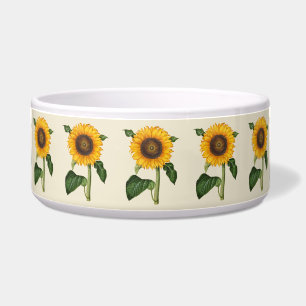 Vintage Sunflower Botanical Art by Merian
