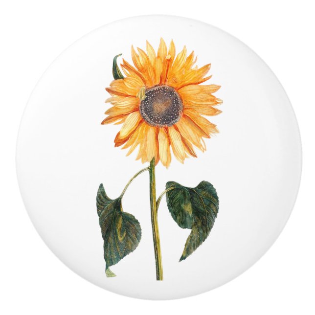 Vintage Sunflower Drawer Knob (Front)