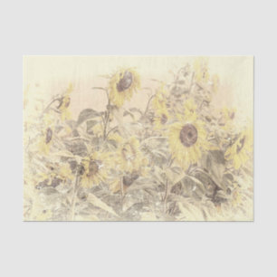 Vintage Sunflower Field Yellow Distressed Texture Tissue Paper