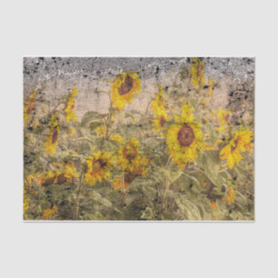Vintage Sunflower Field Yellow Grunge Texture Tissue Paper