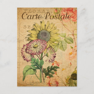 Vintage Sunflower Floral Flowers French Postcard