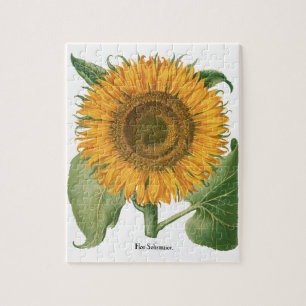 Vintage Sunflower Flower by Basilius Besler Jigsaw Puzzle