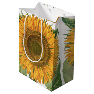 Vintage Sunflower Flower by Basilius Besler Medium Gift Bag