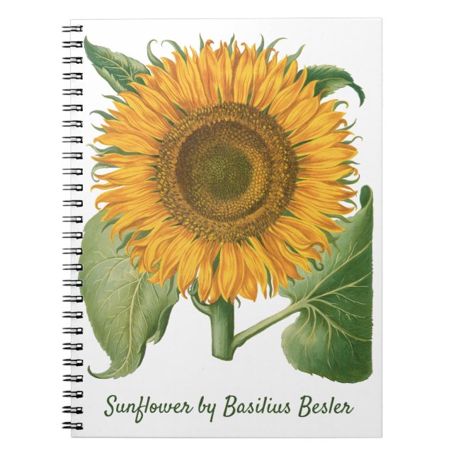 Vintage Sunflower Flower by Basilius Besler Notebook (Front)