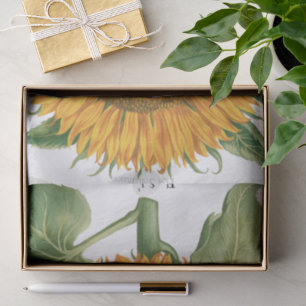Vintage Sunflower Flower by Basilius Besler Tissue Paper