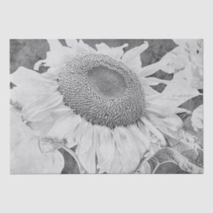 Vintage Sunflower Grey White Antique Texture Tissue Paper