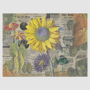 Vintage Sunflower Horticulture Ads Ephemera  Tissue Paper