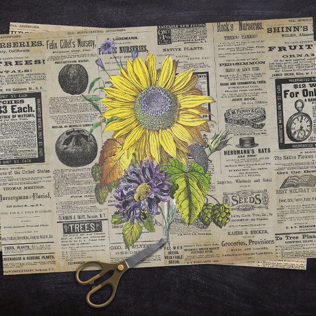 Vintage Sunflower Horticulture Ads Ephemera  Tissue Paper (Creator Uploaded)