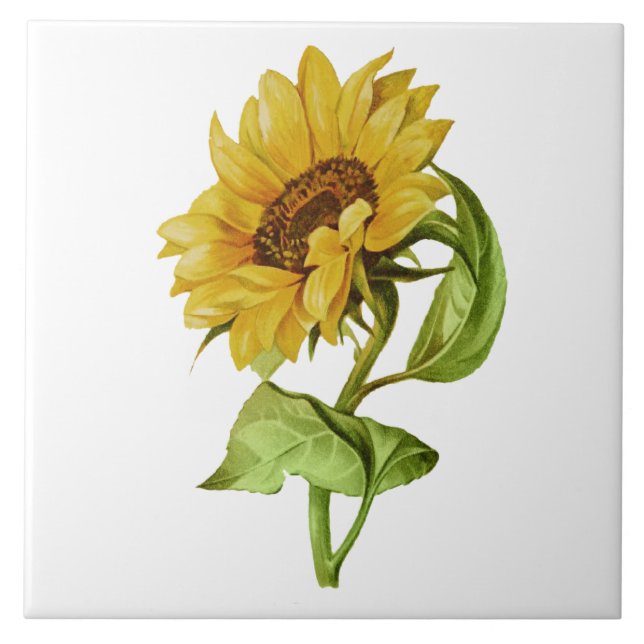 Vintage Sunflower Rustic Floral Ceramic Tile (Front)