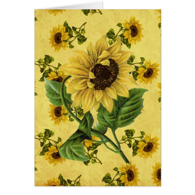 Vintage Sunflowers (Front)