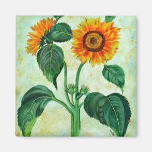 Vintage Sunflowers Botanical Art Magnet