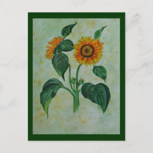 Vintage Sunflowers Botanical Art Postcard
