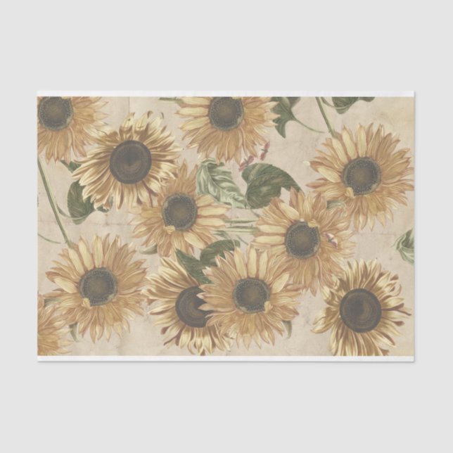 Vintage Sunflowers Tissue Paper (Front)