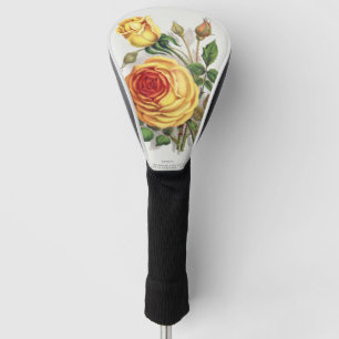 Vintage Sunset Rose Yellow & Orange Botanical Art Golf Head Cover