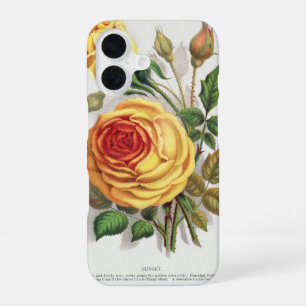 Vintage Sunset Rose Yellow & Orange Botanical Art iPhone 16 Case