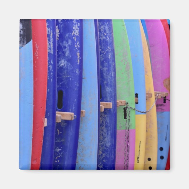 Vintage Surfboards Magnet (Front)