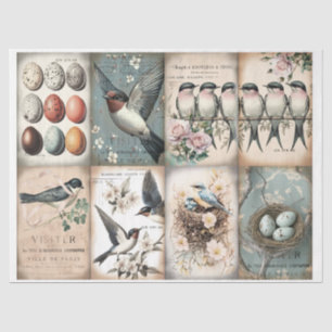Vintage Swallow and flowers spring Tissue Paper