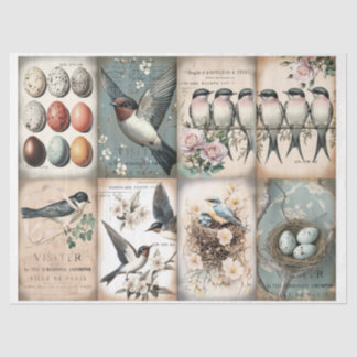 Vintage Swallow and flowers spring Tissue Paper