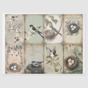 Vintage Swallow and nest with eggs spring Tissue Paper