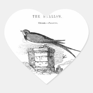 Vintage swallow bird heart sticker