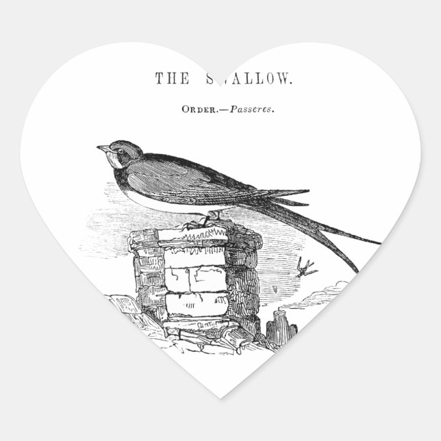 Vintage swallow bird heart sticker (Front)