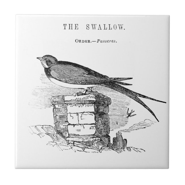 Vintage swallow bird tile (Front)